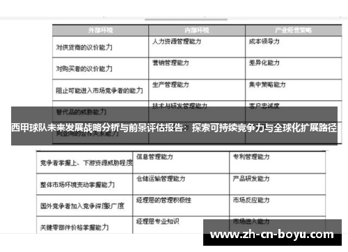 西甲球队未来发展战略分析与前景评估报告：探索可持续竞争力与全球化扩展路径